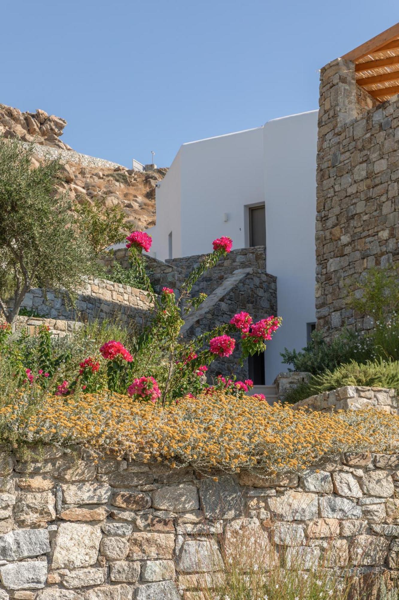 Calma Suites Mykonos 프사로우 외부 사진